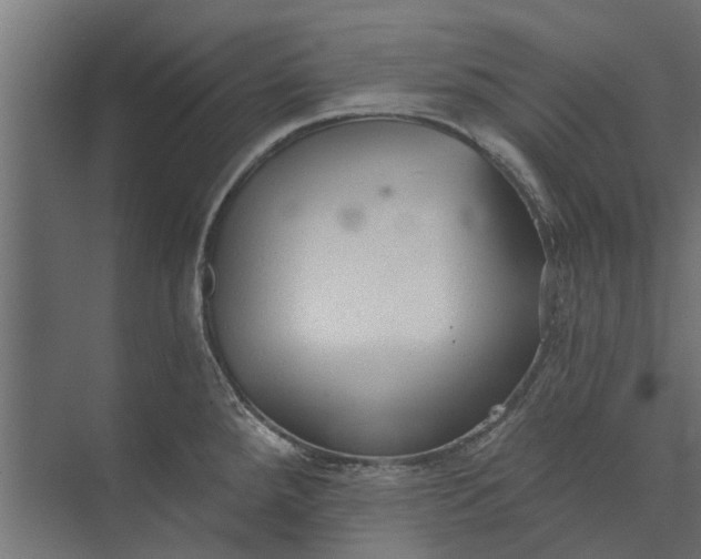 X0000073831288200608240941