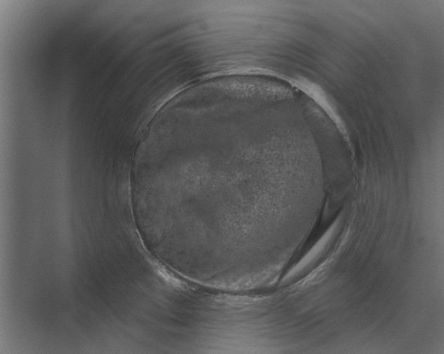 X0000073831289200608240941