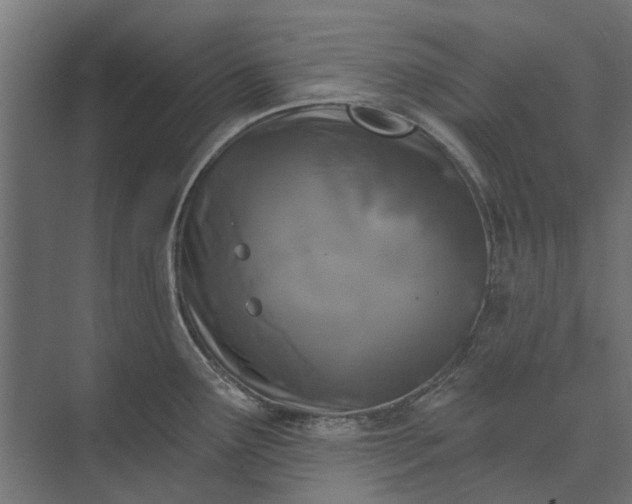 X0000073831291200608240941