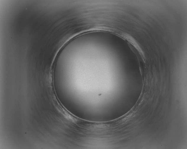 X0000073831292200608240941