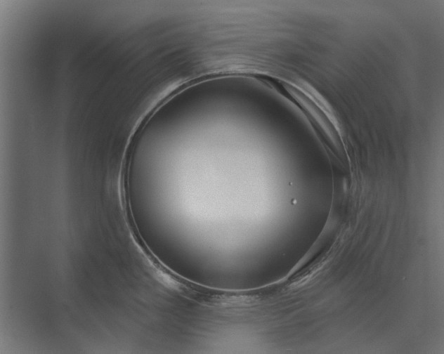 X0000073831293200608240941