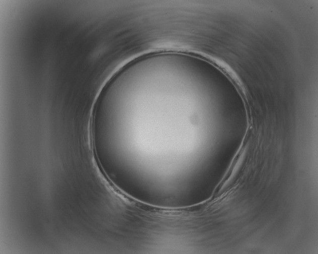 X0000073831295200608240941