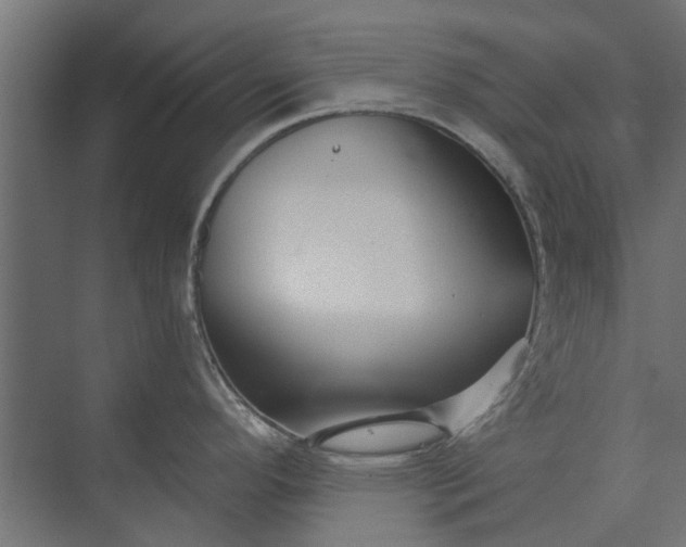 X0000073831296200608240941