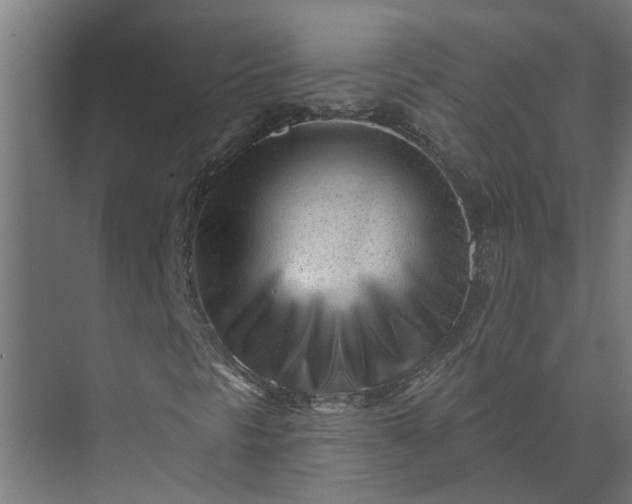 X0000073831297200608240940