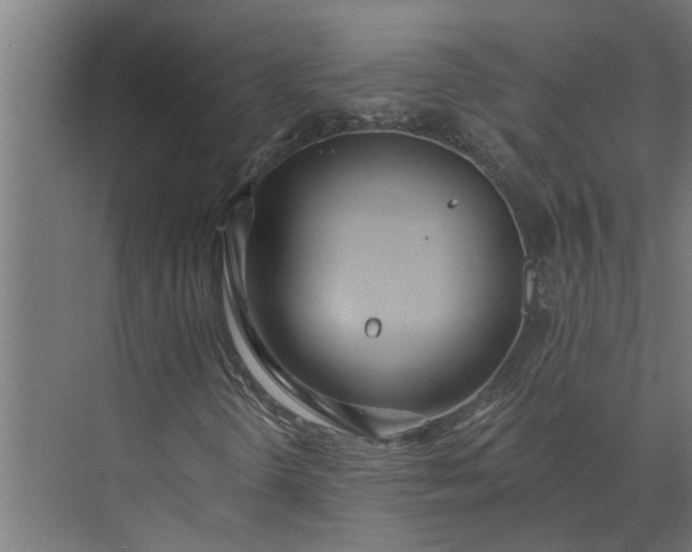 X0000073831298200608240940