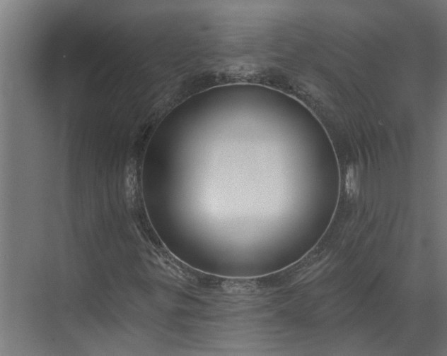 X0000073831299200608240940