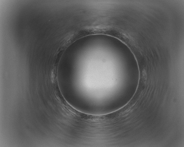 X0000073831300200608240940