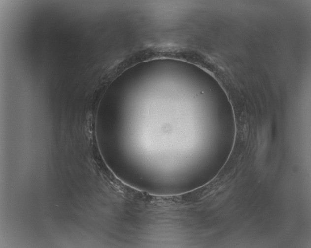 X0000073831301200608240940