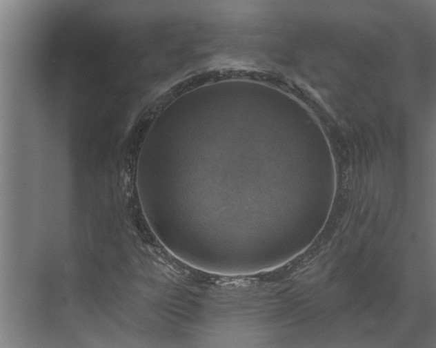 X0000073831303200608240940