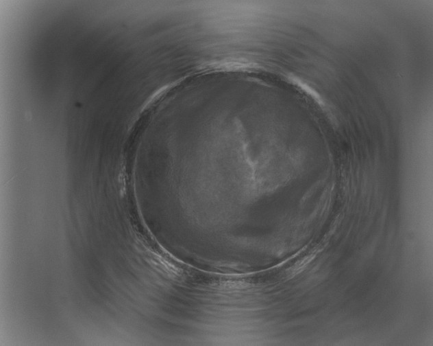 X0000073831306200608240940