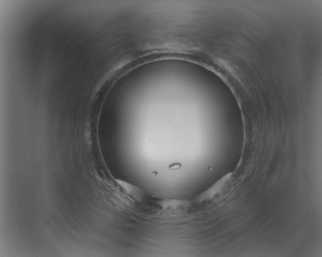 X0000073831307200608240940