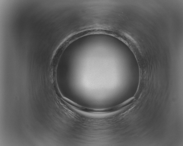 X0000073831310200608240940