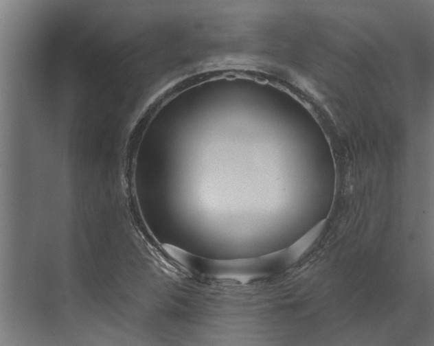 X0000073831312200608240940