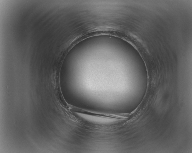 X0000073831313200608240940