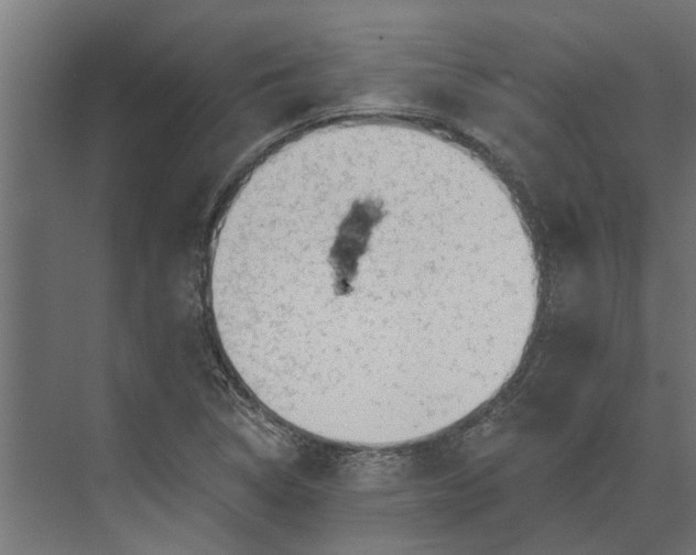 X0000073831314200608240940