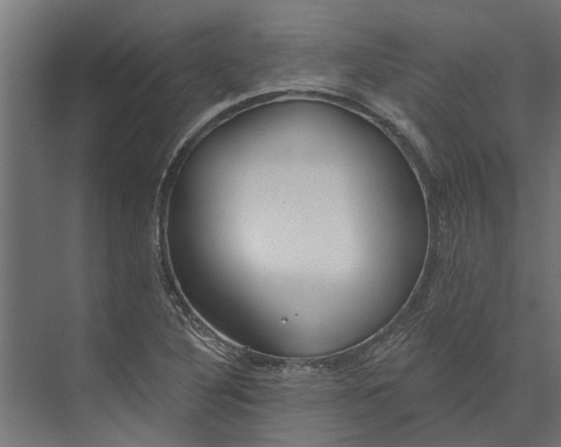 X0000073831316200608240940