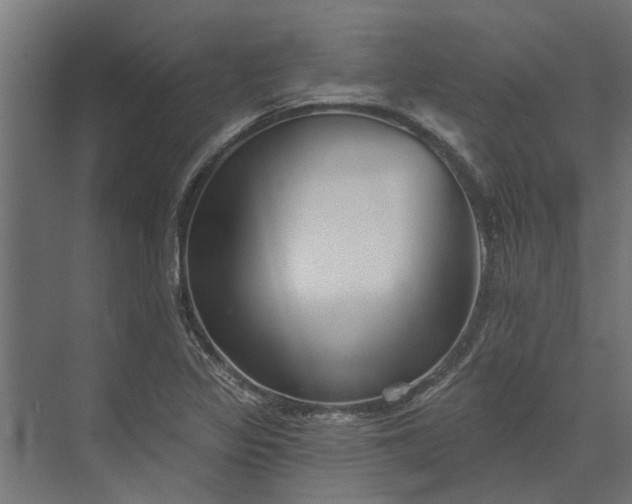 X0000073831317200608240941