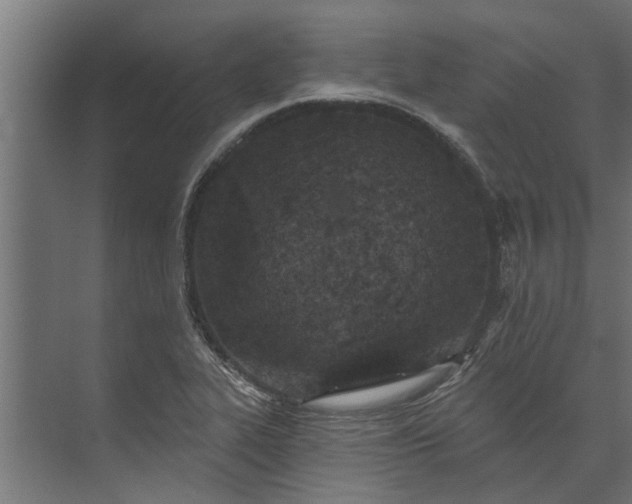 X0000073831319200608240941