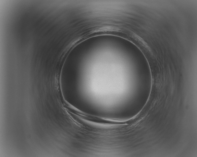 X0000073831321200608240941