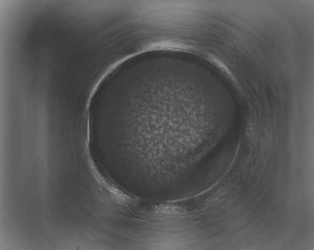 X0000073831323200608240941