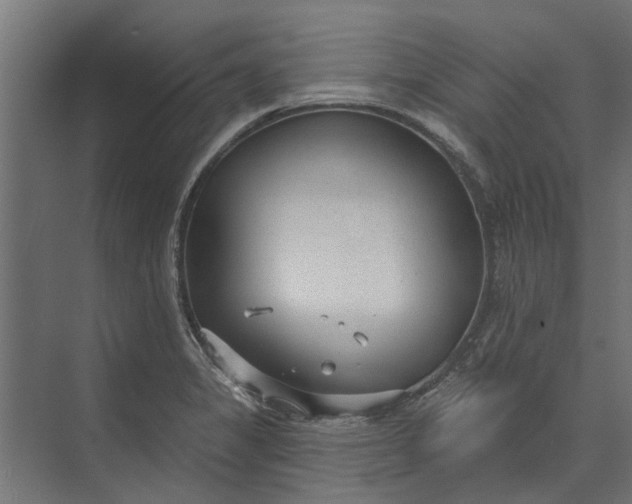 X0000073831325200608240941