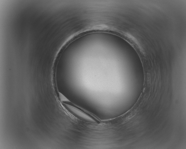 X0000073831326200608240941