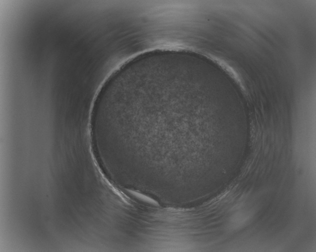 X0000073831327200608240941