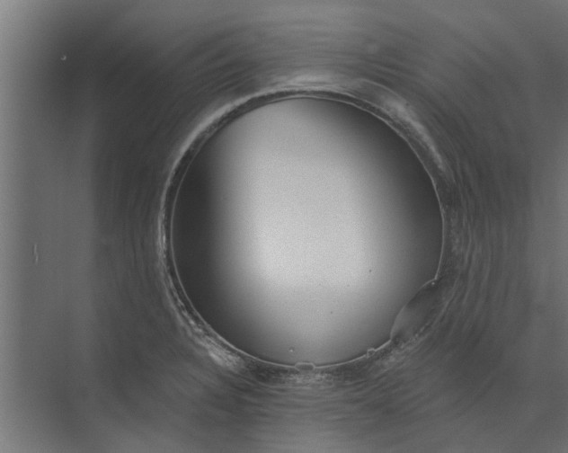 X0000073831328200608240941