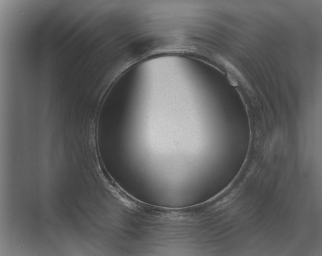 X0000073831329200608240941