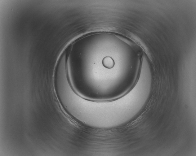 X0000073831332200608240941