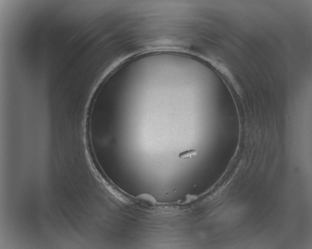 X0000073831333200608240941