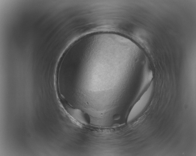 X0000073831334200608240941