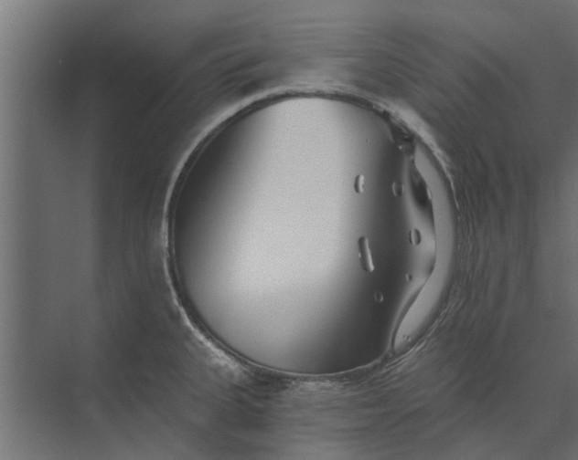 X0000073831335200608240941