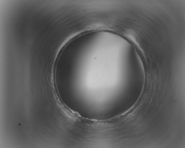 X0000073831336200608240941