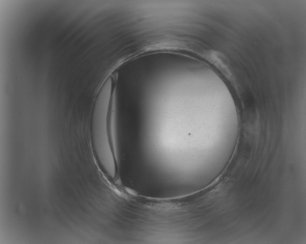 X0000073831337200608240941