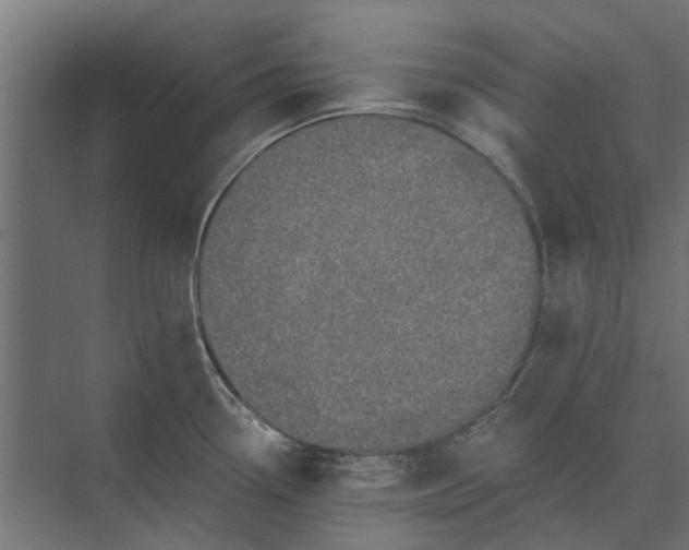 X0000073831338200608240941