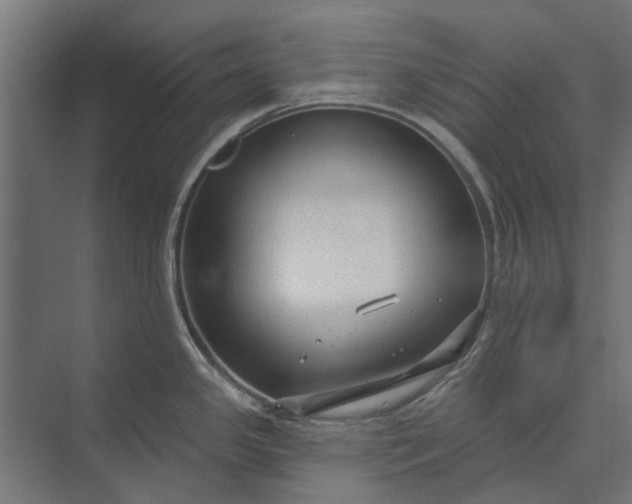 X0000073831341200608240941