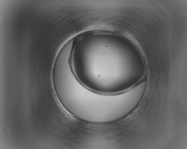 X0000073831344200608240941