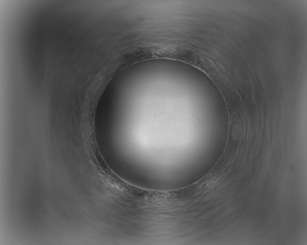 X0000073831345200608240940