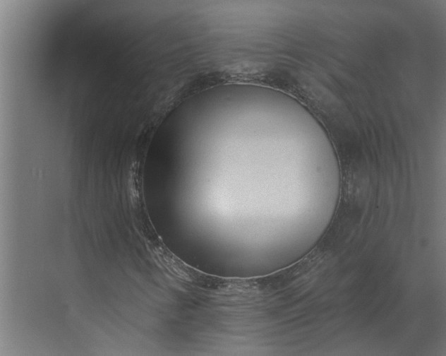 X0000073831346200608240940