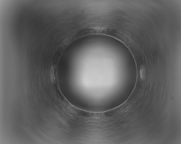 X0000073831347200608240940