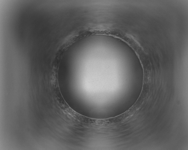 X0000073831350200608240940