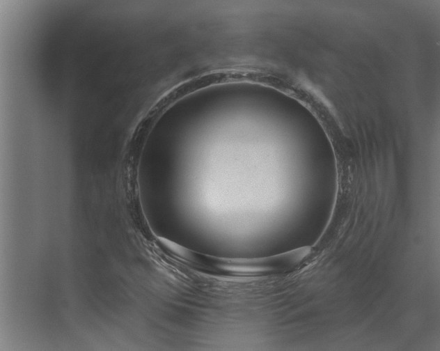 X0000073831352200608240940