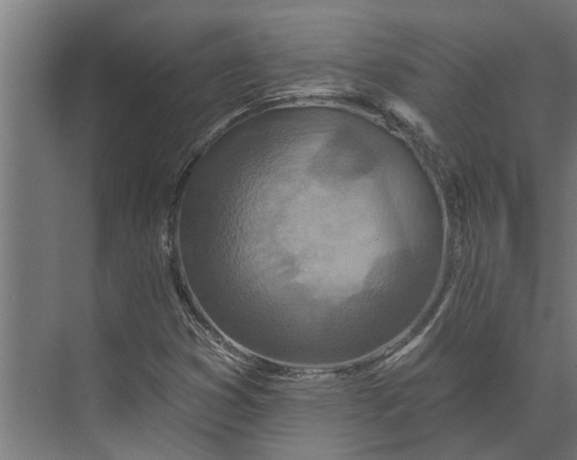 X0000073831353200608240940