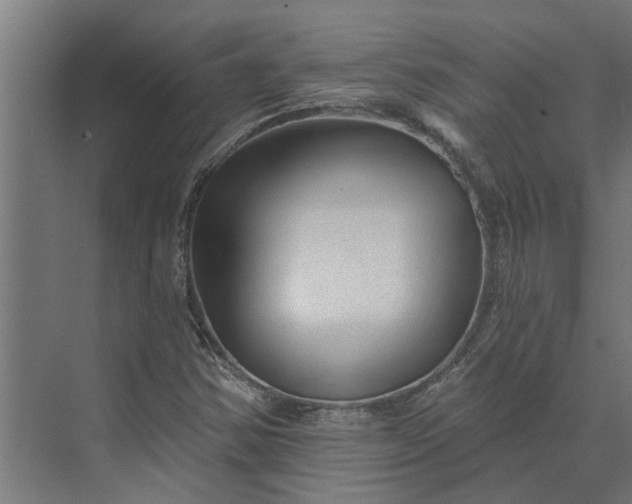 X0000073831354200608240940