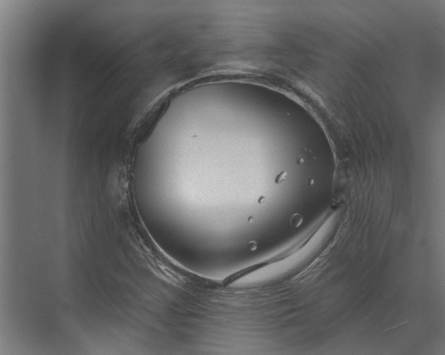 X0000073831355200608240940