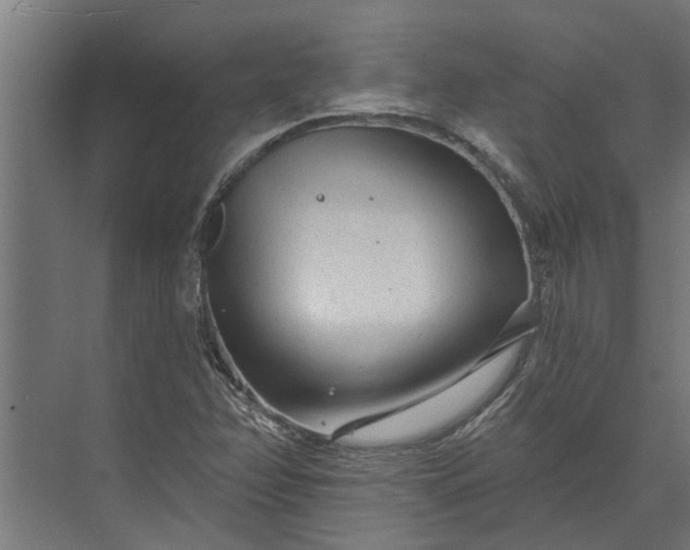 X0000073831358200608240940