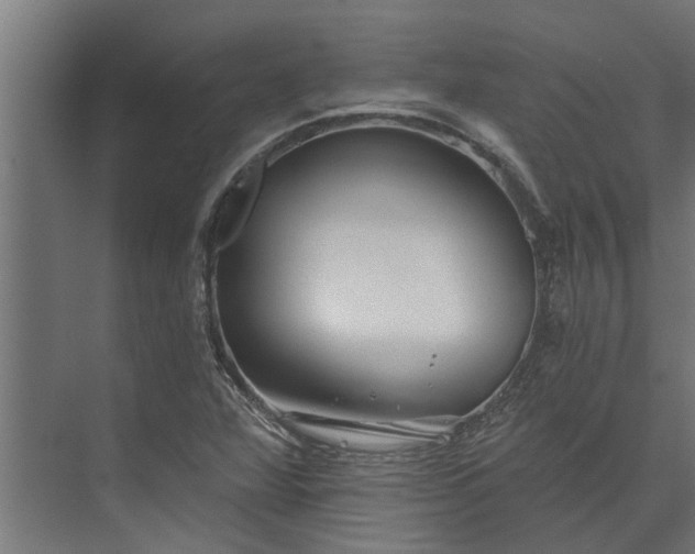 X0000073831360200608240940