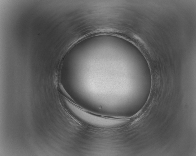 X0000073831361200608240940