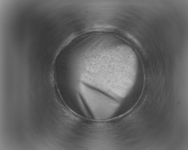 X0000073831362200608240940